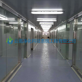 凈化工程案例